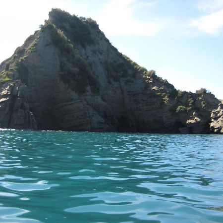 Waipiro Bay Paradise Bed and Breakfast Te Puia Buitenkant foto