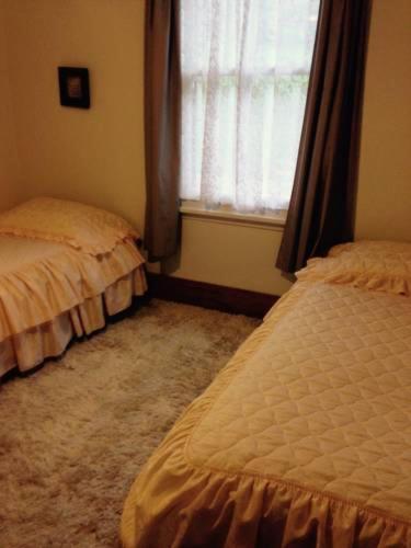 Waipiro Bay Paradise Bed and Breakfast Te Puia Buitenkant foto