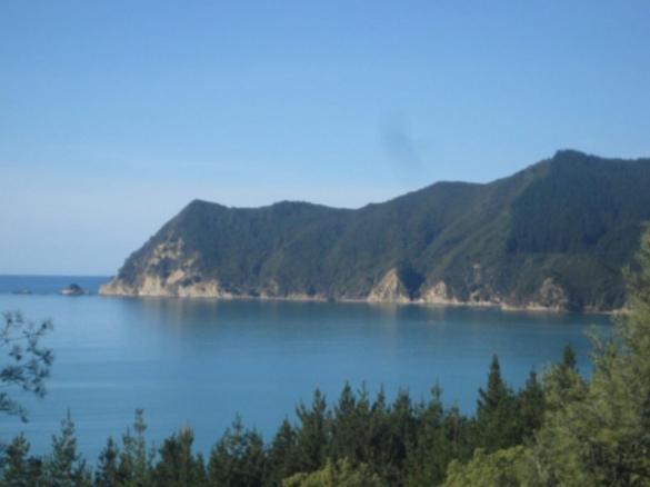 Waipiro Bay Paradise Bed and Breakfast Te Puia Buitenkant foto