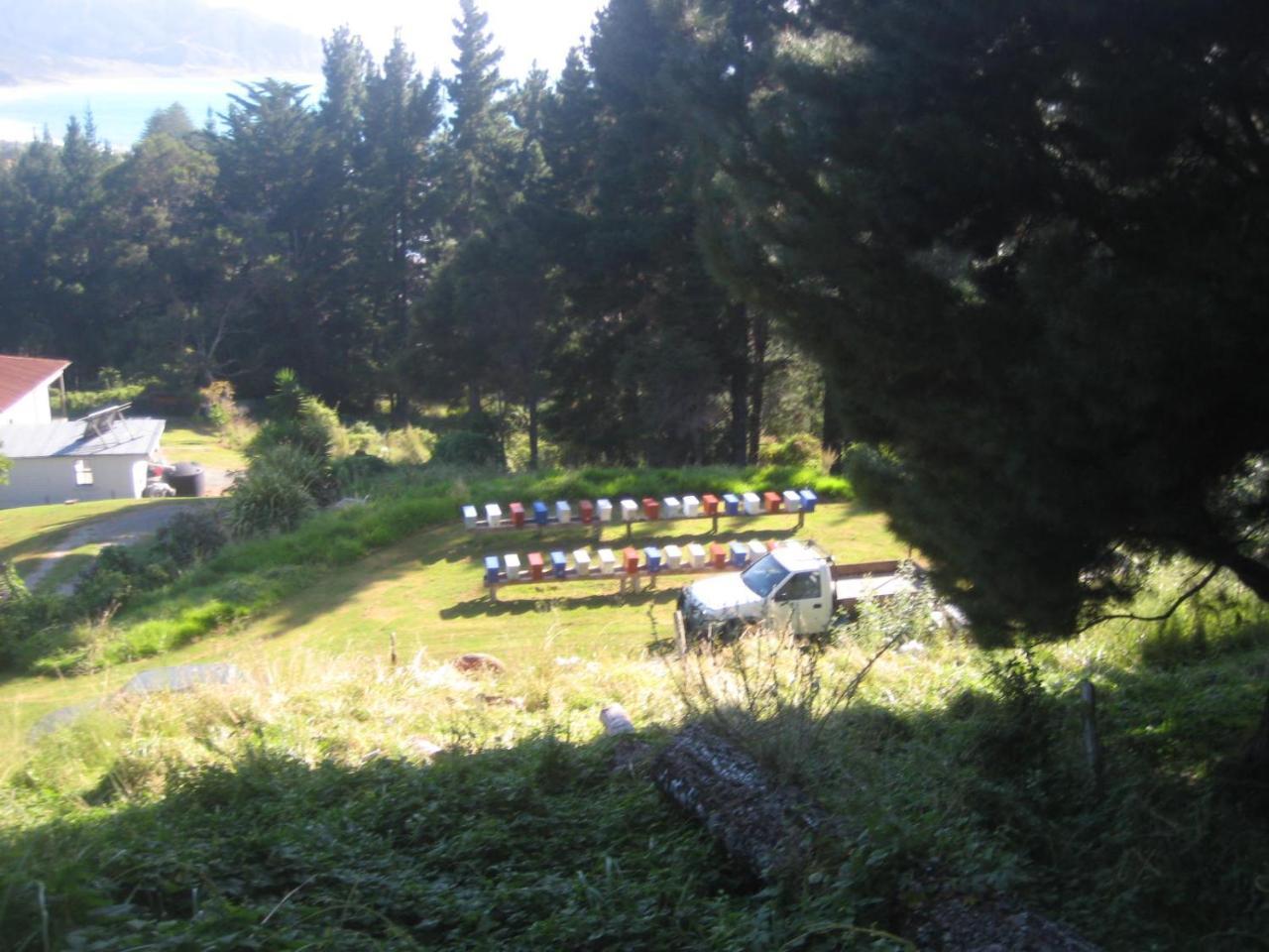 Waipiro Bay Paradise Bed and Breakfast Te Puia Buitenkant foto