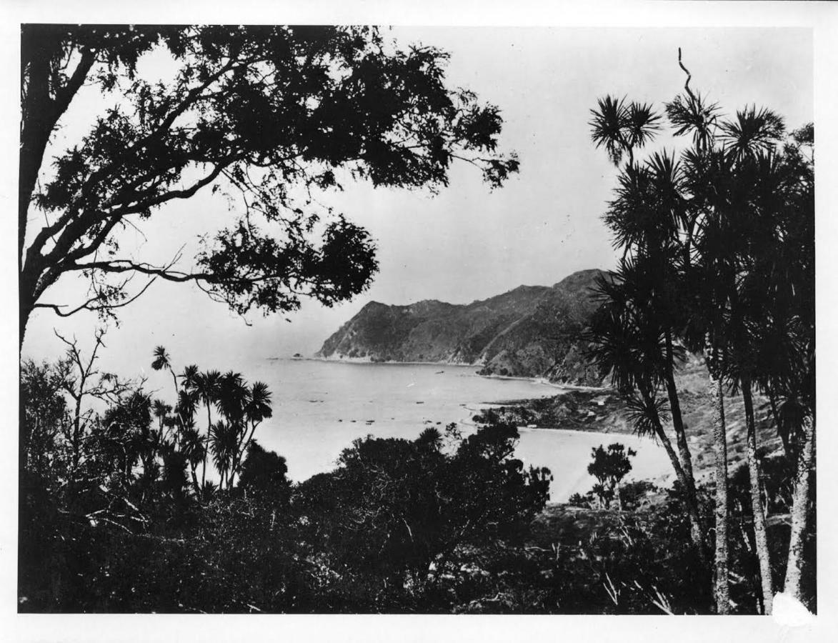 Waipiro Bay Paradise Bed and Breakfast Te Puia Buitenkant foto
